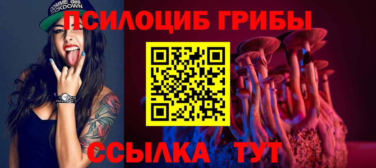 Выкса  Галлюциногенные грибы Cubensis  Галлюциногенные грибы мухоморы  продажа наркотиков  Вход с VPN 